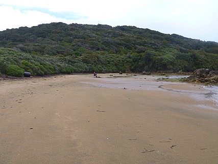 West End Beach
Photographer;&nbsp;Jim
2019-11-16&nbsp;11.26.44;&nbsp;Metadata time: '2019 Nov 16 11:26'
Original size:&nbsp;4,320 x 3,240; 4,790 kB
Filename: 2019-11-16 11.26.44 P1000801 Jim - West End Beach.jpeg