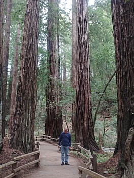 Jim at Muir Woods
Photo: Simon
2020-02-29 15.26.41; '2020 Feb 29 15:26'
Original size: 3,120 x 4,160; 7,424 kB
2020-02-29 15.26.41 LG6 Simon - Jim at Muir Woods.jpeg