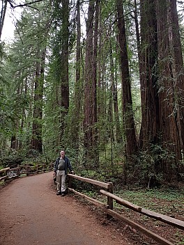 Simon in Muir Woods
Photo: Jim
2020-02-29 15.40.47; '2020 Feb 29 15:40'
Original size: 3,024 x 4,032; 5,634 kB
2020-02-29 15.40.47 GS8 Jim - Simon in Muir Woods.jpeg