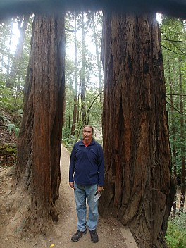 Jim in Muir Woods Hillside trail
Photo: Simon
2020-02-29 15.51.43; '2020 Feb 29 15:51'
Original size: 3,120 x 4,160; 4,692 kB
2020-02-29 15.51.43 LG6 Simon - Jim in Muir Woods Hillside trail.jpeg