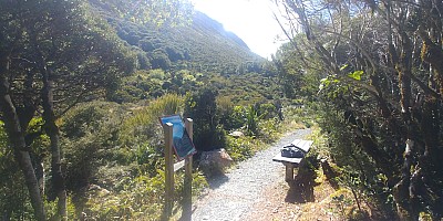 Arthur's Pass