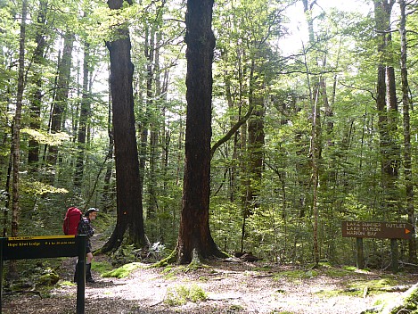 Evangaline Biv to Hope Kiwi Lodge Evangaline Biv to Hope Kiwi Lodge