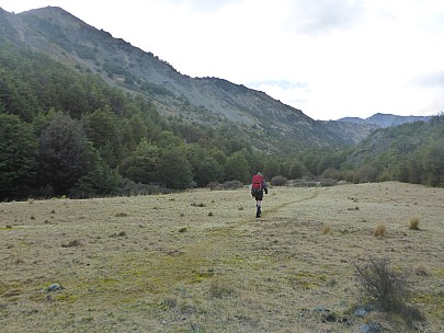 Brian heading down the Jollie Brook
Photo: Simon
2021-09-19 07.44.12; '2021 Sept 19 07:44'
Original size: 4,608 x 3,456; 6,254 kB
2021-09-19 07.44.12 P1030587 Simon - Brian heading down the Jollie Brook.jpeg