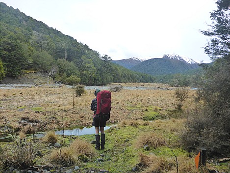 Hope Kiwi Lodge to Three Mile Stream Hut