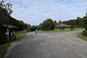 Mananui Bush, Mahinapua, Wanganui River, Oneone