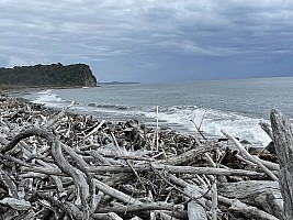 Mananui Bush, Mahinapua, Wanganui River, Oneone