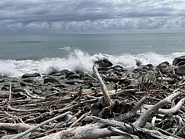 Mananui Bush, Mahinapua, Wanganui River, Oneone