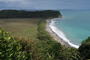 Mananui Bush, Mahinapua, Wanganui River, Oneone