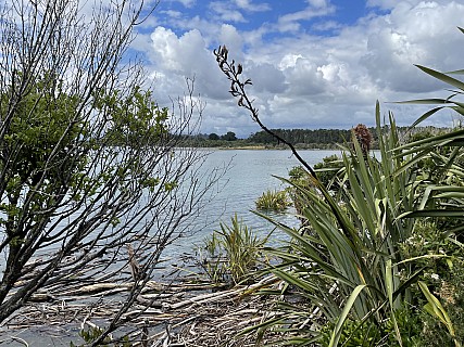 Wanganui heads lagoon
Photographer;&nbsp;Susie
2022-03-06&nbsp;13.39.20;&nbsp;Metadata time: '2022 Mar 06 13:39'
Original size:&nbsp;4,032 x 3,024; 6,986 kB
Filename: 2022-03-06 13.39.20 IMG_2706 Susie - Wanganui heads lagoon.jpeg