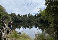 Mananui Bush, Mahinapua, Wanganui River, Oneone