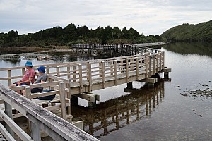 Mananui Bush, Mahinapua, Wanganui River, Oneone
