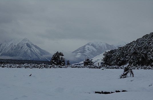 2022-08-01 10.22.29 DSC02877 Alan - view across snowy Hurunui River_cr.jpg: 4608x3024, 4979k (2022 Dec 11 14:59)