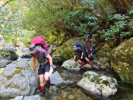 In College Creek
Photographer;&nbsp;Simon
2022-10-23&nbsp;14.43.44;&nbsp;Metadata time: '2022 Oct 23 14:43'
Original size:&nbsp;9,248 x 6,936; 17,836 kB
Filename: 2022-10-23 14.43.44 S20 Simon - In College Creek.jpeg