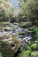 Moeraki River, Middle Head Hut to Blue River Hut