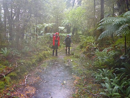 In the rain close to Blue River Hut
Photographer;&nbsp;Simon
2023-04-18&nbsp;09.35.53;&nbsp;Metadata time: '2023 Apr 18 09:35'
Original size:&nbsp;4,608 x 3,456; 6,367 kB
Filename: 2023-04-18 09.35.53 P1030766 Simon - in the rain close to Blue River Hut.jpeg