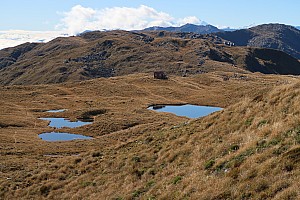 Māori Saddle Hut to Mataketake Hut