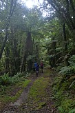 Mataketake Hut to Blue River Hut via tops, drive to Waita River at the south end of Haast-Paringa Cattle Track, tramp to Coppermine Creek Hut
