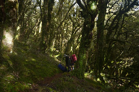 Rest Stop In The Bush
Photographer;&nbsp;Philip
2023-04-20&nbsp;10.45.14;&nbsp;Metadata time: '2023 Apr 20 10:45'
Original size:&nbsp;4,320 x 2,880; 4,882 kB
Filename: 2023-04-20 10.45.14 P1070151 Philip - rest stop in the bush.jpeg