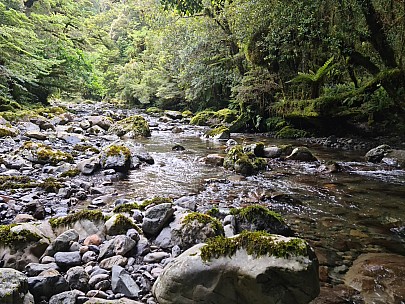 Ōtaki River
Photographer;&nbsp;Simon
2024-01-03&nbsp;07.43.14;&nbsp;Metadata time: '2024 Jan 03 07:43'
Original size:&nbsp;9,248 x 6,936; 18,423 kB
Filename: 2024-01-03 07.43.14 S20+ Simon - Ōtaki River.jpeg