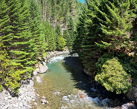 View up the Branch River from the Swing bridge with Douglas Firs
Photo: Simon
2024-01-27 15.22.01; '2024 Jan 27 15:22'
Original size: 11,210 x 8,896; 32,242 kB; stitch
2024-01-27 15.22.01 S20+ Simon - view up the Branch River from the Swing bridge with Douglas Firs_stitch.jpg View up the Branch River from the Swing bridge with Douglas Firs
Photo: Simon
2024-01-27 15.22.01; '2024 Jan 27 15:22'
Original size: 11,210 x 8,896; 32,242 kB; stitch
2024-01-27 15.22.01 S20+ Simon - view up the Branch River from the Swing bridge with Douglas Firs_stitch.jpg