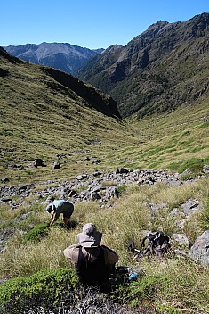Bruce and Simon in the head of Lost Stream
Photo: Brian
2024-01-30 10.28.47; '2024 Jan 30 10:28'
Original size: 3,648 x 5,472; 10,480 kB
2024-01-30 10.28.47 IMG_1054 Brian - Bruce and Simon in the head of Lost Stream.jpeg Bruce and Simon in the head of Lost Stream
Photo: Brian
2024-01-30 10.28.47; '2024 Jan 30 10:28'
Original size: 3,648 x 5,472; 10,480 kB
2024-01-30 10.28.47 IMG_1054 Brian - Bruce and Simon in the head of Lost Stream.jpeg