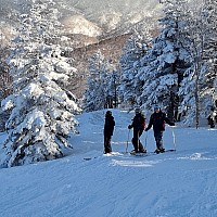 At the Prince Hotel East Wing skiing Yakebitaiyama
Kevin, Adrian, and Simon on Yakebitaiyama A5 course
Photo: Jim
2024-03-02 16.15.15; '2024 Mar 02 16:15'
Original size: 2,992 x 2,992; 2,663 kB
2024-03-02 16.15.15 S21FE+ Jim - Kevin, Adrian, and Simon on Yakebitaiyama A5 course.jpeg At the Prince Hotel East Wing skiing Yakebitaiyama
Kevin, Adrian, and Simon on Yakebitaiyama A5 course
Photo: Jim
2024-03-02 16.15.15; '2024 Mar 02 16:15'
Original size: 2,992 x 2,992; 2,663 kB
2024-03-02 16.15.15 S21FE+ Jim - Kevin, Adrian, and Simon on Yakebitaiyama A5 course.jpeg