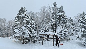 At Prince Hotel East Wing skiing Central Shiga Kōgen
Adrian at the top of Central Course  29
Photo: Simon
2024-03-04 11.57.23; '2024 Mar 04 11:57'
Original size: 15,611 x 8,970; 25,014 kB; stitch
2024-03-04 11.57.23 S20+ Simon - Adrian at the top of Central Course 29_stitch.jpg At Prince Hotel East Wing skiing Central Shiga Kōgen
Adrian at the top of Central Course  29
Photo: Simon
2024-03-04 11.57.23; '2024 Mar 04 11:57'
Original size: 15,611 x 8,970; 25,014 kB; stitch
2024-03-04 11.57.23 S20+ Simon - Adrian at the top of Central Course 29_stitch.jpg
