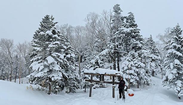 Adrian at the top of Central Course  29
Photo: Simon
2024-03-04 11.57.23; '2024 Mar 04 15:57'
Original size: 15,611 x 8,970; 25,014 kB; stitch
2024-03-04 11.57.23 S20+ Simon - Adrian at the top of Central Course 29_stitch.jpg Adrian at the top of Central Course  29
Photo: Simon
2024-03-04 11.57.23; '2024 Mar 04 15:57'
Original size: 15,611 x 8,970; 25,014 kB; stitch
2024-03-04 11.57.23 S20+ Simon - Adrian at the top of Central Course 29_stitch.jpg