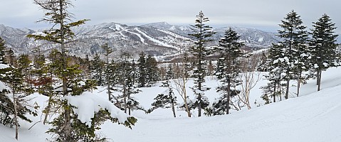 Ski Okushiga Kōgen and Yakebitaiyama
View from track between A6 and A1 courses
Photo: Adrian
2024-03-05 09.59.30; '2024 Mar 05 09:59'
Original size: 16,655 x 6,960; 22,529 kB; stitch
2024-03-05 09.59.30 S20+ Adrian - view from track between A6 and A1 courses_stitch.jpg Ski Okushiga Kōgen and Yakebitaiyama
View from track between A6 and A1 courses
Photo: Adrian
2024-03-05 09.59.30; '2024 Mar 05 09:59'
Original size: 16,655 x 6,960; 22,529 kB; stitch
2024-03-05 09.59.30 S20+ Adrian - view from track between A6 and A1 courses_stitch.jpg