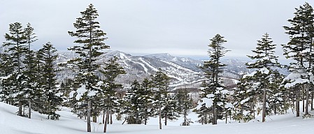Ski Okushiga Kōgen and Yakebitaiyama
View from Yakebitaiyama A1 across to Ichinose and Takamagahara
Photo: Simon
2024-03-05 09.59.21; '2024 Mar 05 09:59'
Original size: 15,926 x 6,810; 17,579 kB