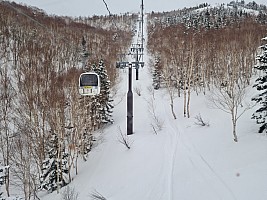 Ski Okushiga Kōgen and Yakebitaiyama
View up the Okushiga Gondola
Photo: Adrian
2024-03-05 11.06.22; '2024 Mar 05 11:06'
Original size: 8,481 x 6,361; 16,389 kB; str