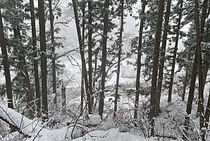 Prince Hotel East Wing to Hotel Alpenburg; visit to the Jigokudani Snow Monkeys
View down to Yokoyu river from Snow Monkey path
Photo: Adrian
2024-03-06 12.22.24; '2024 Mar 06 12:22'
Original size: 9,974 x 6,701; 11,690 kB; stitch
2024-03-06 12.22.24 S20+ Adrian - view down to Yokoyu river from Snow Monkey path_stitch.jpg Prince Hotel East Wing to Hotel Alpenburg; visit to the Jigokudani Snow Monkeys
View down to Yokoyu river from Snow Monkey path
Photo: Adrian
2024-03-06 12.22.24; '2024 Mar 06 12:22'
Original size: 9,974 x 6,701; 11,690 kB; stitch
2024-03-06 12.22.24 S20+ Adrian - view down to Yokoyu river from Snow Monkey path_stitch.jpg