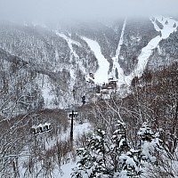 Ski Giant, Hasuike, Sun Valley, Maruike, Hoppo Bunadaira, Nishidateyama
Looking down Yamanoeki access gondola to Alpenburg
Photo: Jim
2024-03-07 14.22.41; '2024 Mar 07 14:22'
Original size: 2,992 x 2,992; 4,512 kB
