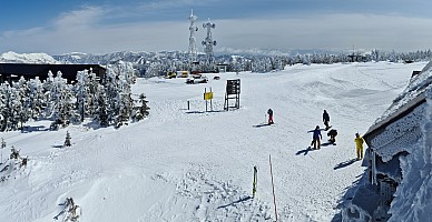 Ski Yokoteyama, Shibutoge, and Kumanoyu 
Mt Yokote
Photo: Adrian
2024-03-08 10.32.28; '2024 Mar 08 10:32'
Original size: 13,149 x 6,772; 13,798 kB; stitch