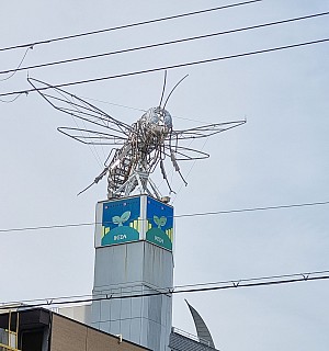 Insect sculpture on Ikeda building
Photographer;&nbsp;Jim
2024-03-14&nbsp;09.06.01;&nbsp;Metadata time: '2024 Mar 14 09:06'
Original size:&nbsp;1,886 x 2,014; 1,094 kB;&nbsp;cr
Filename: 2024-03-14 09.06.01 S21FE+ Jim - Insect sculpture on Ikeda building_cr.jpg