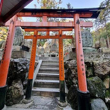 Torii gates and Shrines on the Senbon Torii path
Photo: Jim
2024-03-16 15.51.49; '2024 Mar 16 19:51'
Original size: 2,992 x 2,992; 3,302 kB
2024-03-16 15.51.49 S21FE+ Jim - Torii gates and Shrines on the Senbon Torii path.jpeg Torii gates and Shrines on the Senbon Torii path
Photo: Jim
2024-03-16 15.51.49; '2024 Mar 16 19:51'
Original size: 2,992 x 2,992; 3,302 kB
2024-03-16 15.51.49 S21FE+ Jim - Torii gates and Shrines on the Senbon Torii path.jpeg
