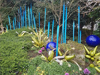 Chihuly Blue Grass Reeds
Photographer;&nbsp;Nick
2025-03-02&nbsp;13.46.13;&nbsp;Metadata time: '2025 Mar 02 13:46'
Original size:&nbsp;4,608 x 3,456; 10,016 kB
Filename: 2025-03-02 13.46.13 Nick - Chihuly Blue Grass Reeds.jpeg