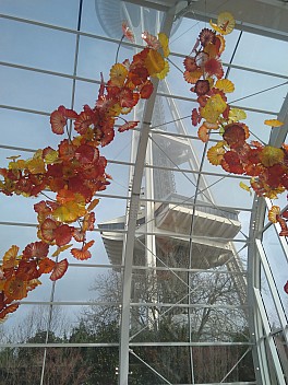 Chihuly Garden Glasshouse sculpture
Photographer;&nbsp;Nick
2025-03-02&nbsp;14.28.17;&nbsp;Metadata time: '2025 Mar 02 14:28'
Original size:&nbsp;3,456 x 4,608; 7,697 kB
Filename: 2025-03-02 14.28.17 Nick - Chihuly Garden Glasshouse sculpture.jpeg