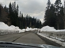 Driving back from Alpental
Photographer;&nbsp;Nick
2025-03-06&nbsp;16.11.36;&nbsp;Metadata time: '2025 Mar 06 16:11'
Original size:&nbsp;3,650 x 2,738; 2,467 kB;&nbsp;cr
Filename: 2025-03-06 16.11.36 Nick - driving back from Alpental_cr.jpg
