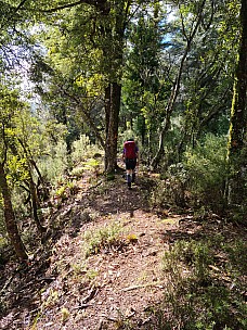 Brian tramping along the ridge
Photographer;&nbsp;Simon
2025-05-04&nbsp;13.30.08;&nbsp;Metadata time: '2025 May 04 13:30'
Original size:&nbsp;6,928 x 9,248; 33,664 kB
Filename: 2025-05-04 13.30.08 S20+ Simon - Brian tramping along the ridge.jpeg