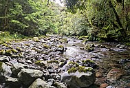 2024-01-03 07.43.35 S20+ Simon - Ōtaki River_stitch.jpg: 12878x8741, 25756k (2024 Jan 13 08:25)