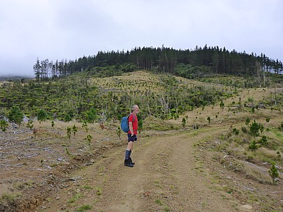 Brian on forestry road
Photo: Simon
2018-03-31 11.18.01; '2018 Mar 31 11:18'
Original size: 4,608 x 3,456; 6,686 kB
2018-03-31 11.18.01 P1020277 Simon - Brian on forestry road.jpeg