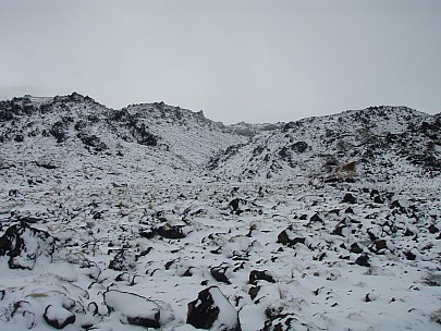 A 020222
2007-10-02&nbsp;09.33.24;&nbsp;Metadata time: '2007 Oct 02 09:33'
Original size:&nbsp;3,072 x 2,304; 3,255 kB
Filename: 2007-10-02 09.33.24 PA020222.jpeg