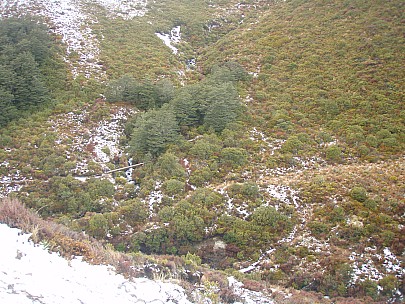 A 020228
2007-10-02&nbsp;09.37.21;&nbsp;Metadata time: '2007 Oct 02 09:37'
Original size:&nbsp;3,072 x 2,304; 3,142 kB
Filename: 2007-10-02 09.37.21 PA020228.jpeg