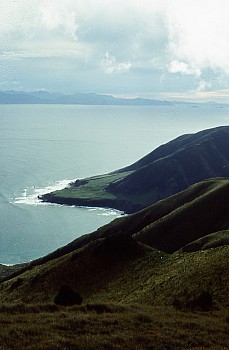 Tongue Point, Raukawa/Cook Strait, and Te Waipounamu/South Island, photograph by Barbara Mitcalfe
14750002
;&nbsp;Metadata time: '2026 Jan 19 21:03'
Original size:&nbsp;1,024 x 1,568; 916 kB
Filename: 14750002.jpg