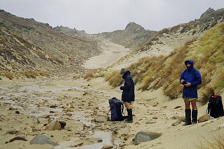 079_019.JPG: 1544x1024, 393k (2006 Dec 20 22:52)