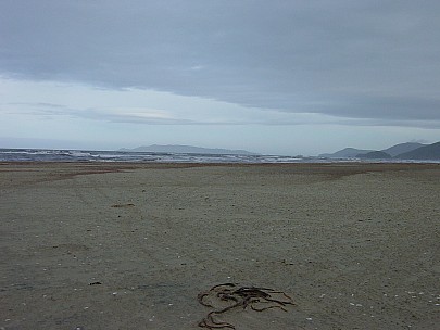 dsc00426.jpg: 2048x1536, 806k (2006 Dec 22 13:37)