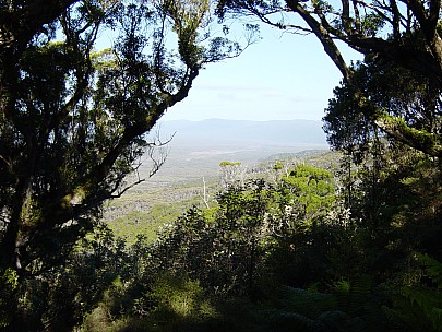 dsc00437.jpg: 2048x1536, 810k (2006 Dec 22 13:42)