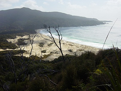 dsc00450.jpg: 2048x1536, 810k (2006 Dec 22 13:47)