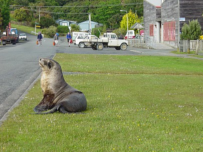 dsc00472.jpg: 2048x1536, 801k (2006 Dec 22 13:53)